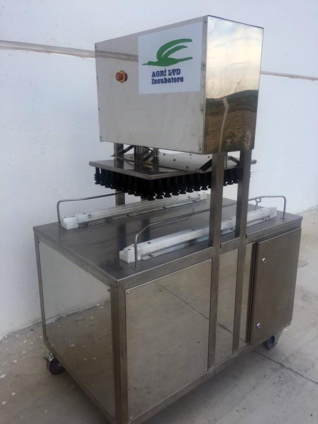 Automatic Egg Transfer Machine