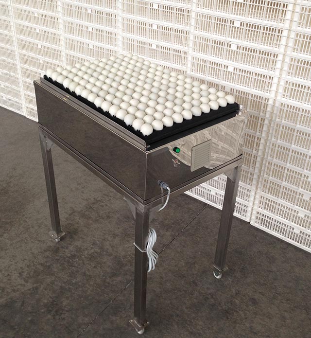 Immortal Egg Separation Table